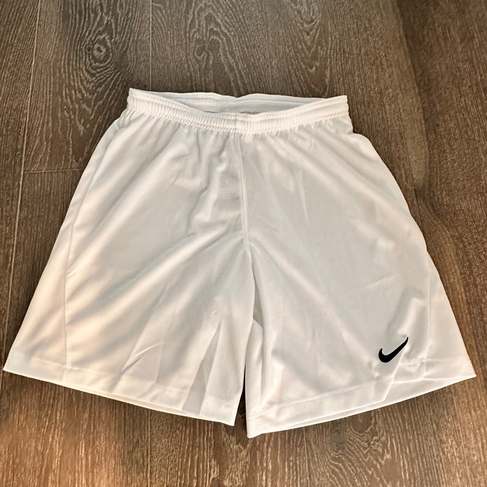 Nike Men's Dri-FIT shorts